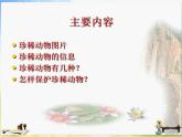 2022年小學(xué)美術(shù)課件-第6課-保護(hù)珍稀野生動(dòng)物--蘇少版--(共20張PPT)