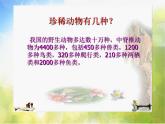 2022年小學(xué)美術(shù)課件-第6課-保護(hù)珍稀野生動(dòng)物--蘇少版--(共20張PPT)