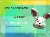2022年小學(xué)美術(shù)課件-第6課-保護(hù)珍稀野生動(dòng)物--蘇少版--(共20張PPT)