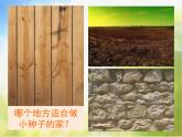 2022年小學(xué)美術(shù)課件-第2課-長(zhǎng)呀長(zhǎng)---人美版-(共17張PPT)ppt課件