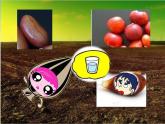 2022年小學(xué)美術(shù)課件-第2課-長(zhǎng)呀長(zhǎng)---人美版-(共17張PPT)ppt課件