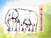 2022年小學(xué)美術(shù)課件-第16課--奇妙的圖形--蘇少版--(共15張PPT)ppt課件