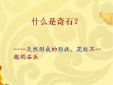 2022年小學(xué)美術(shù)課件-第15課---有生命的石頭--蘇少版--(共37張PPT)ppt課件