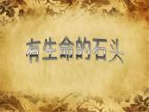 2022年小學(xué)美術(shù)課件-第15課---有生命的石頭--蘇少版--(共11張PPT)ppt課件