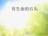 2022年小學(xué)美術(shù)課件-第15課---有生命的石頭--蘇少版--(共22張PPT)ppt課件