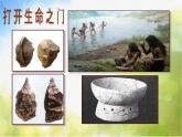 2022年小學(xué)美術(shù)課件-第15課---有生命的石頭--蘇少版--(共22張PPT)ppt課件