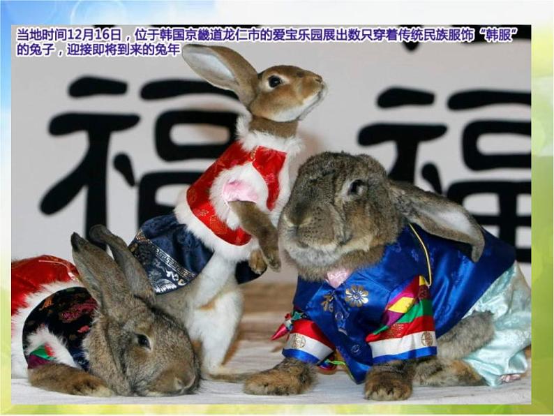 2022年小学美术课件-第12课-看新闻画新闻--苏少版--(共19张PPT)ppt课件第6页