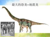 2022年小學(xué)美術(shù)課件-第14課--遠(yuǎn)古的恐龍--冀美版-(共15張PPT)ppt課件