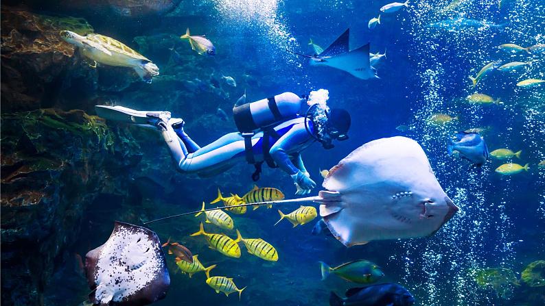 2022年小学美术课件-第17课-钓鱼--人美版-(共19张PPT)ppt课件第6页