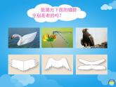 2022年小學(xué)美術(shù)課件-第十五課-會飛的翅膀--湘美版----(共16張PPT)ppt課件