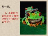 小學 / 美術 / 嶺南版 / 一年級下冊 / 第二單元 點線色，你我他 / 8. 小動物和媽媽課件