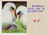 小學 / 美術 / 嶺南版 / 一年級下冊 / 第二單元 點線色，你我他 / 8. 小動物和媽媽課件