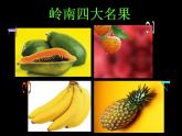 2022年小学生美术《4诱人的水果》广西版(17张)ppt课件