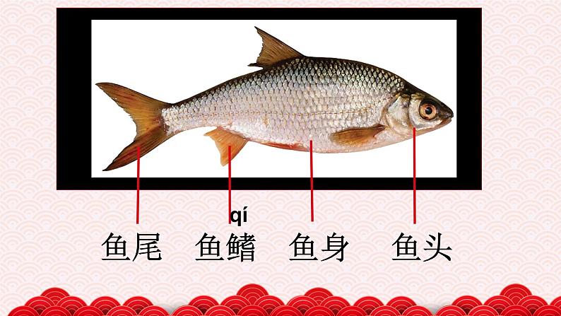 2022年小学生美术《2年年有余》浙人美版(12张)ppt课件03