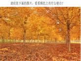 2022年小學(xué)生美術(shù)《2.色彩的調(diào)和》冀美版(14張)ppt課件
