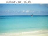 2022年小學(xué)生美術(shù)《2.色彩的調(diào)和》冀美版(14張)ppt課件