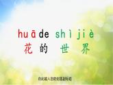 2022年小学生美术《19.花的世界》(2)人美版(16张)ppt课件