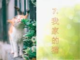 2022年小学生美术《第7课我家的猫》辽海版(18张)ppt课件