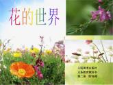 2022年小学生美术《19.花的世界》人美版(23张)ppt课件