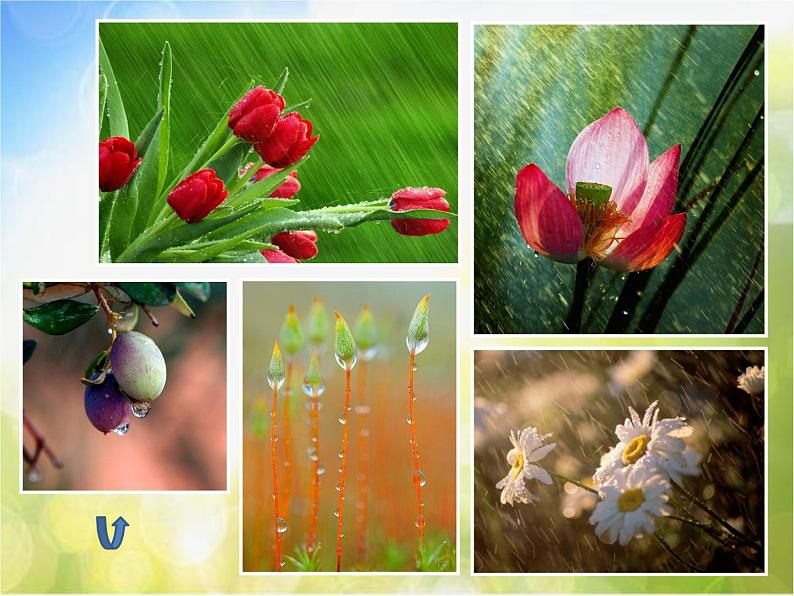 2022年小学生美术《15.雨中情》人美版(41张)ppt课件08