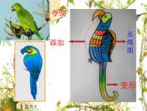 2022年小學生美術《第8課鳥的紋樣》蘇少版ppt課件