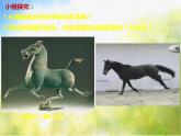 2022年小學(xué)生美術(shù)《第11課藝術(shù)作品中的動(dòng)物》人美版(13張)ppt課件