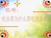 2022年小學(xué)生美術(shù)《第11課藝術(shù)作品中的動(dòng)物》人美版(17張)ppt課件