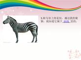 2022年小學(xué) / 美術(shù) / 冀美版 / 二年級下冊 / 2. 各種各樣的線課件