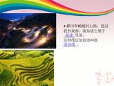 2022年小學(xué) / 美術(shù) / 冀美版 / 二年級下冊 / 2. 各種各樣的線課件