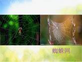 2022年小學(xué)生美術(shù)3長長的線冀美版(15張)ppt課件