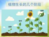 2022年小學(xué) / 美術(shù) / 人美版 / 一年級(jí)下冊(cè) / 2. 長(zhǎng)呀長(zhǎng)課件