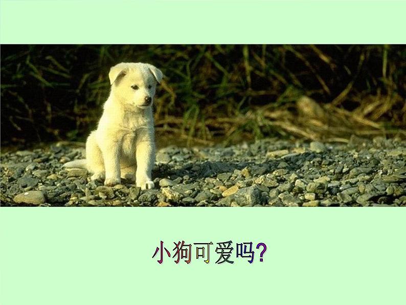 2022年小学  美术  冀美版  三年级上册  3. 奇妙的对印课件第5页