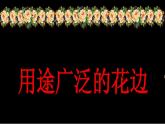 2022年小学 / 美术 / 冀美版 / 三年级下册 / 4. 用途广泛的花边(22张)ppt课件