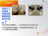 2022年小學(xué)生美術(shù)6.對稱與均衡冀美版(12張)ppt課件