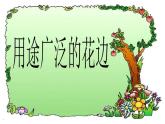 2022年小学 / 美术 / 冀美版 / 三年级下册 / 4. 用途广泛的花边(15张)ppt课件