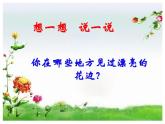 2022年小学 / 美术 / 冀美版 / 三年级下册 / 4. 用途广泛的花边(15张)ppt课件