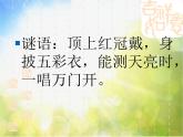 2022年小学生美术6.大花鸡冀美版(20张)ppt课件