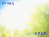 2022年小学生美术6.大花鸡冀美版(29张)ppt课件