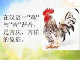 2022年小学生美术6.大花鸡冀美版(16张)ppt课件