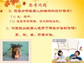 2022年小学 / 美术 / 冀美版 / 四年级下册 / 8. 纸筒人(14张)ppt课件