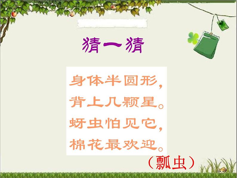 2022年小学  美术  人教版  一年级下册  第8课 瓢虫的花衣裳(15张)ppt课件第3页