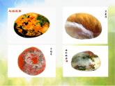 2022年小学 / 美术 / 冀美版 / 二年级下册 / 7. 好玩的石头(17张)ppt课件