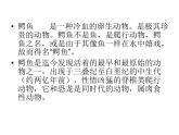 2022年小學(xué)生美術(shù)14遠(yuǎn)古的恐龍冀美版(21張)ppt課件