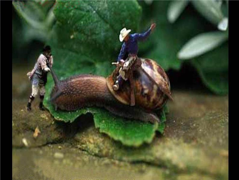 2022年小学生美术14.假如我变小冀美版(19张)ppt课件03