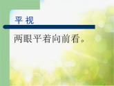 2022年小學生美術14.從不同的視角表現(xiàn)冀美版(33張)ppt課件