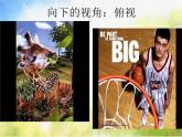2022年小學生美術14.從不同的視角表現(xiàn)冀美版(19張)ppt課件