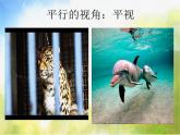 2022年小學生美術14.從不同的視角表現(xiàn)冀美版(19張)ppt課件