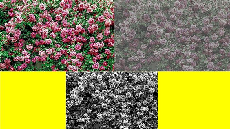 2022年小学生美术第1课原色和间色冀美版(20张)ppt课件02