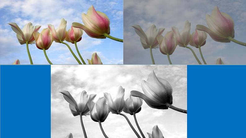 2022年小学生美术第1课原色和间色冀美版(20张)ppt课件06