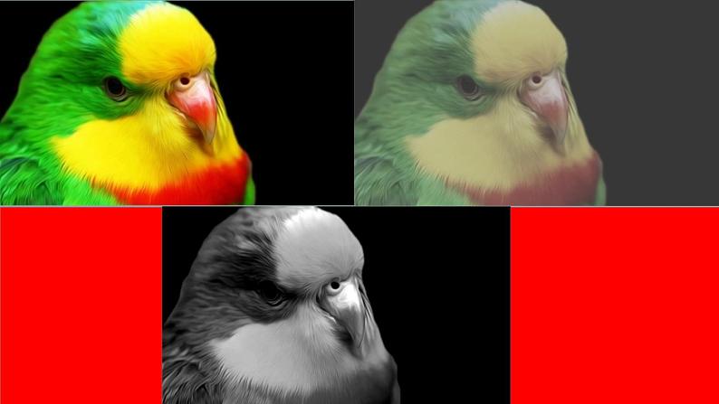 2022年小学生美术第1课原色和间色冀美版(20张)ppt课件07